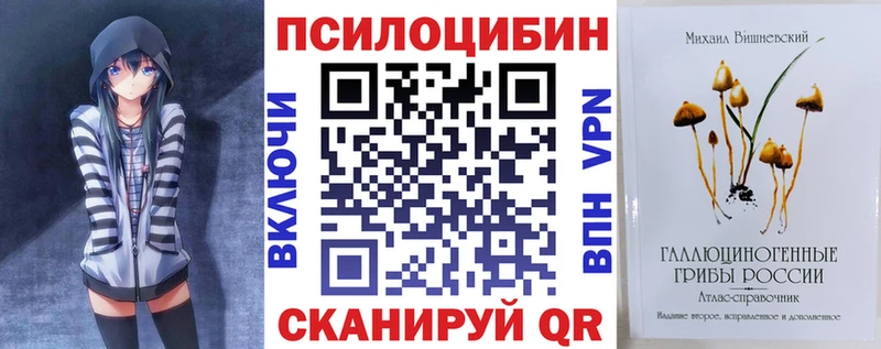 Купить  Гдов  Галлюциногенные грибы Psilocybe 
